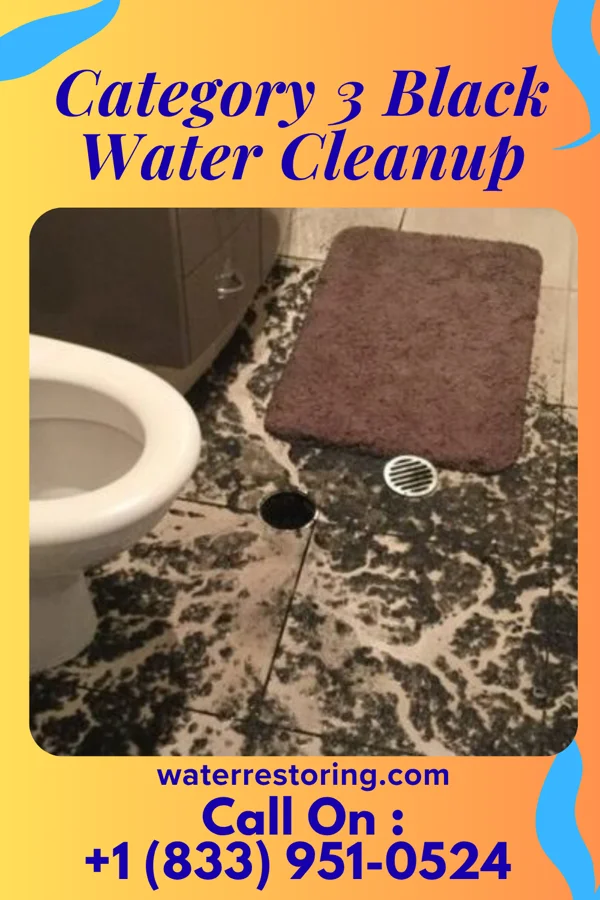 Category 3 Black Water Cleanup in Doraville, GA