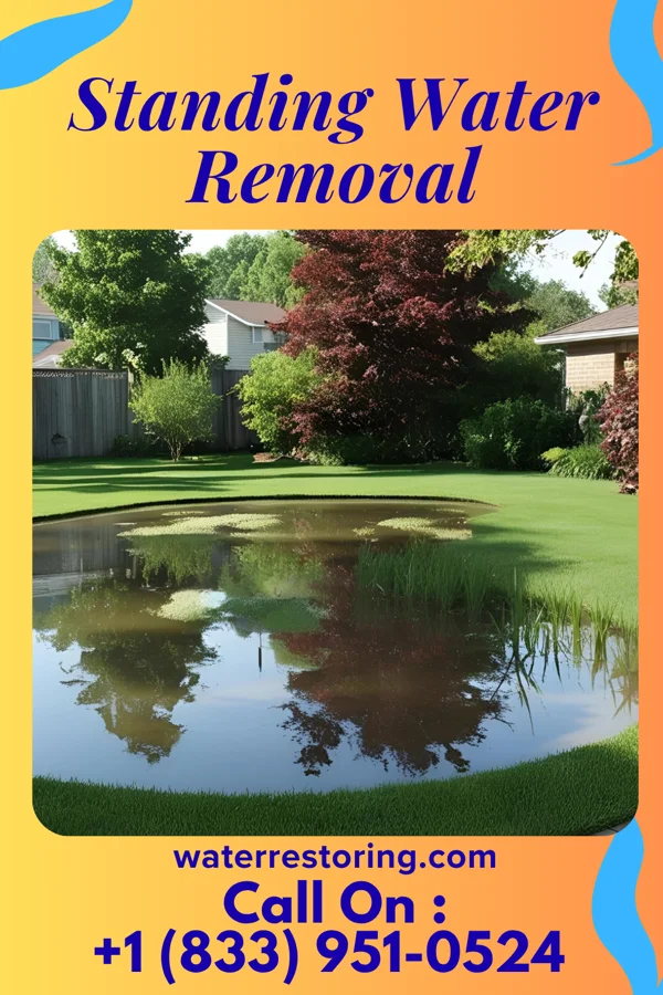 Standing Water Removal in Doraville, GA